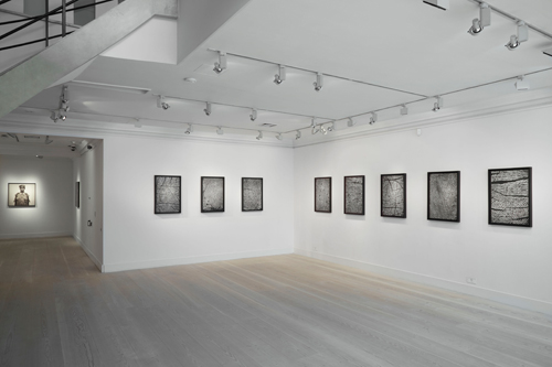 Alinka Echeverría: South Searching installation view. © Alinka Echeverría, Courtesy Gazelli Art House. Photograph: Benjamin Westoby.