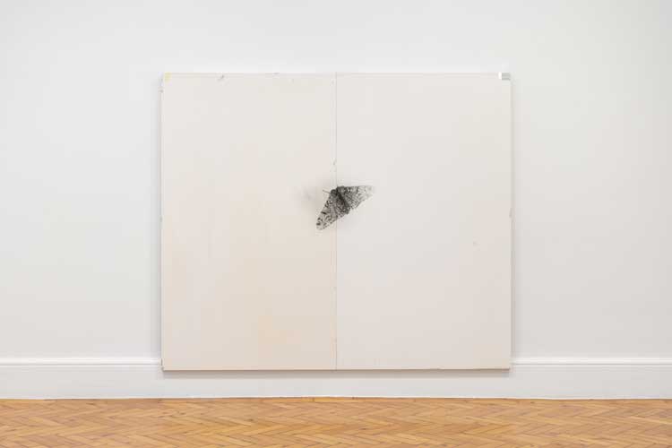 Nat Faulkner, Untitled (Biston betularia), 2026. Silver gelatin print on plywood panel, aluminium tape, white paint. Installation view, Nat Faulkner: Strong water, Camden Art Centre, London. Courtesy of the artist and Brunette Coleman. Photo: Rob Harris.