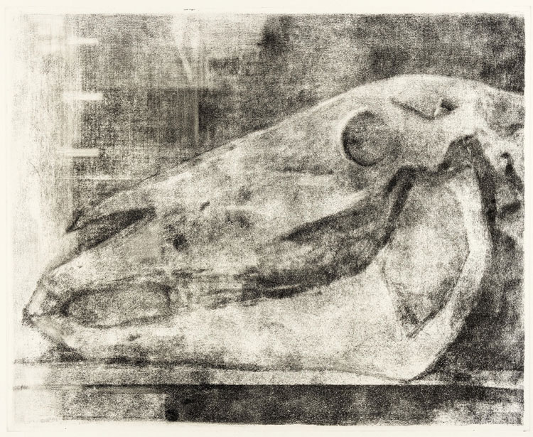 Peter Freeth. Horse. Aquatint, 48 × 60 cm. Image courtesy Art Space Gallery.