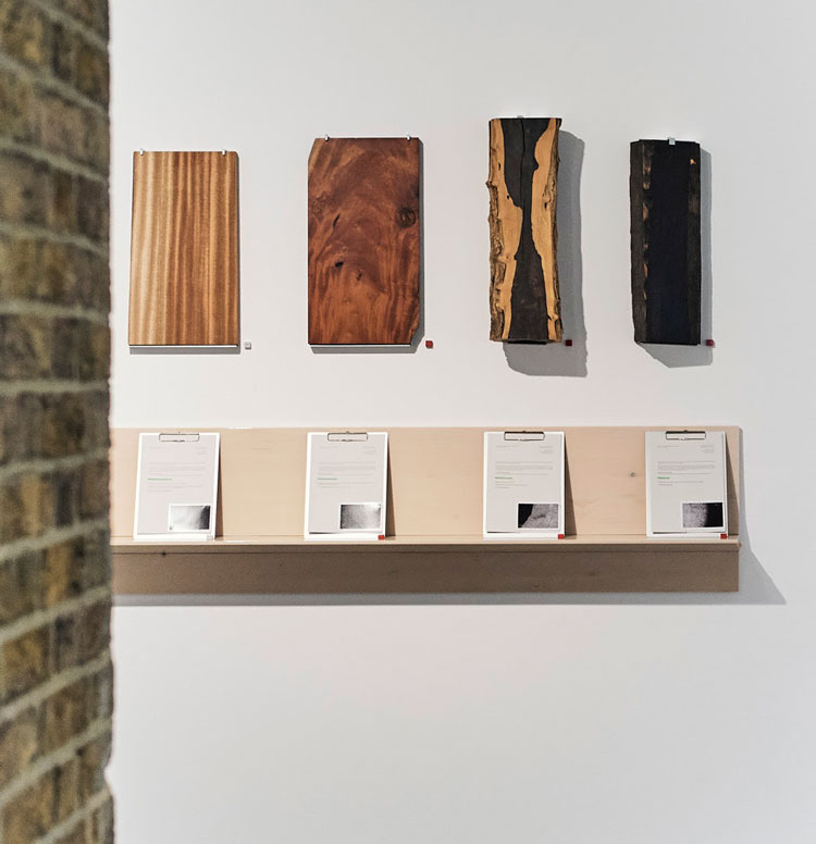 On the Anatomy of Trade, 2020. Anatomical wood analysis. Formafantasma, Cambio, installation view, Serpentine Sackler Gallery, London, 4 March – 17 May 2020. Photo courtesy Formafantasma.