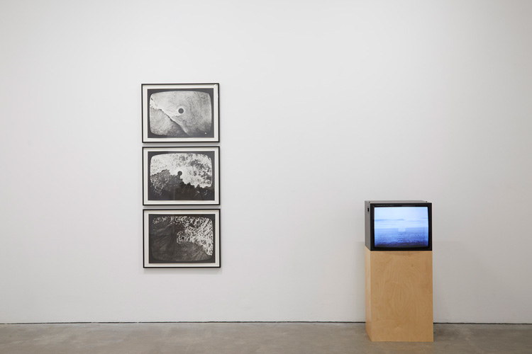 Barry Flanagan, installation view, Ikon, 2019. Courtesy The Estate of Barry Flanagan and Ikon.