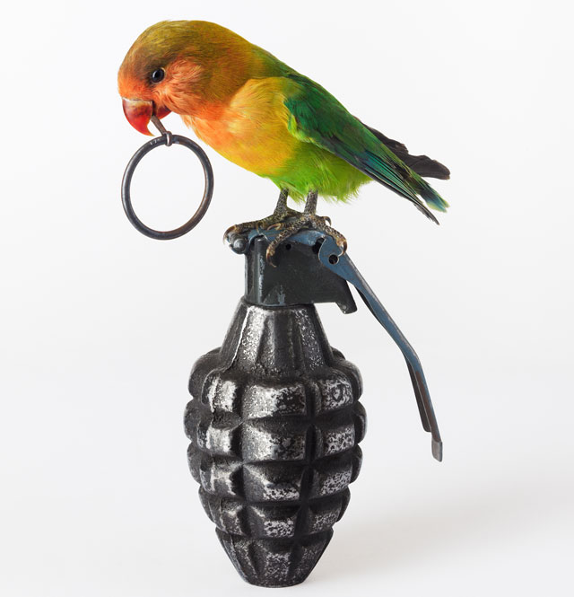Nancy Fouts. Lovebird with Grenade, 2012. Taxidermy lovebird, cast resin hand grenade, 27 x 24 x 24 cm. © Nancy Fouts, Courtesy of Flowers Gallery.