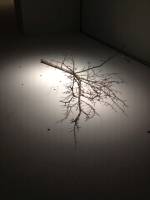 Simon Fujiwara. Untitled (Plum Tree), 2016. Tokyo Opera City Art Gallery.