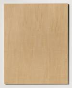 Yevgeniy Fiks. Toward a Portfolio of Woodcuts (Harry Hay), #8, 2013. Wood, 40.64 x 50.8 cm (16 x 20 in).