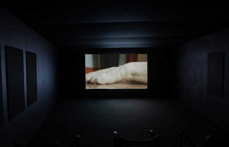 Renèe Helèna Browne,Flat, 2026, film still. Installation view: The Briggait, Glasgow International 2026. Photo: Eoin Carey.