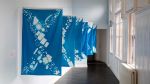 Alixandra Prybyla, with workshop
participants, Saltire Series, 2026. Cyanotype on cotton.