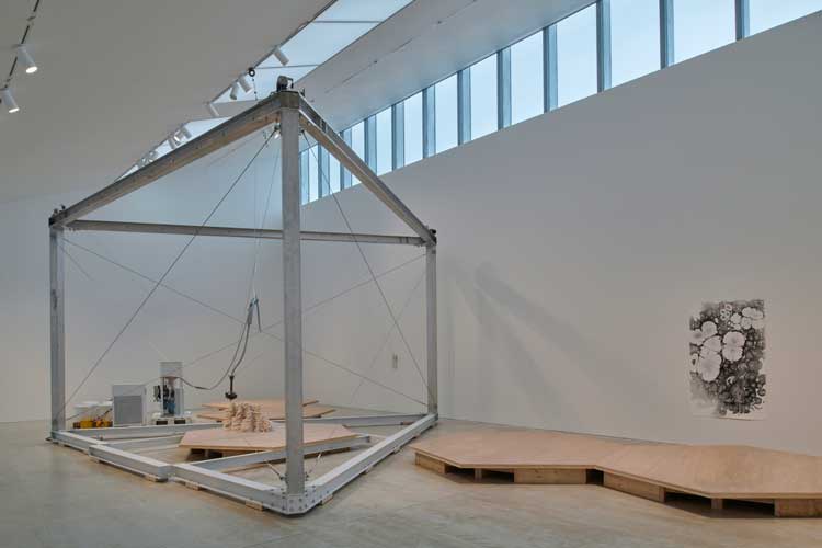Anya Gallaccio. Beautiful Minds... (dene hole), 2024. Chalk and porcelain, aluminium, pump, software. Dene hole at Lees Court Estate. Installation view, Anya Gallaccio: preserve, Turner Contemporary, 2024. © Anya Gallaccio. Courtesy the artist and Turner Contemporary. Photo: Jo Underhill.