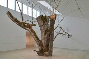 Anya Gallaccio. The inner space within, 2008/2024. Ash tree, bolts, stainless steel. Ash from Lees Court Estate. Installation view, Anya Gallaccio: preserve, Turner Contemporary, 2024. © Anya Gallaccio. Courtesy the artist and Turner Contemporary. Photo: Jo Underhill.