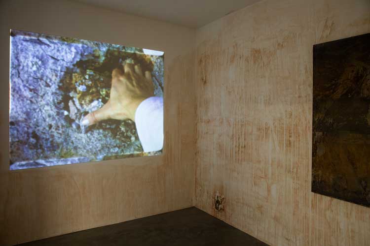 Olga Grotova: The Friendship Garden, installation view, Studio Voltaire, 20 May – 30 July 2023.  Image courtesy the Artist. Photo: Zoë Maxwell.