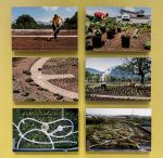 A display showing Piet Oudolf's design and planting process for his Vitra Campus garden. Photo: Veronica Simpson.