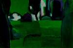 Craig Gough. Spatial Green, 2013. Acrylic on canvas, 191 x 284 cm. © the artist.