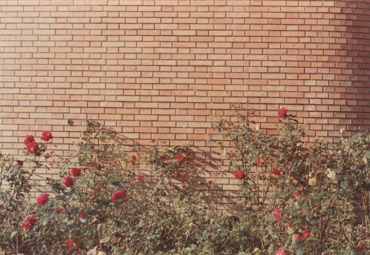 Luigi Ghirri. Modena, 1973. Vintage c-print, 12.1 x 17.4 cm (4 3/4 x 6 7/8 in). © Estate of Luigi Ghirri. Courtesy the Estate, Matthew Marks Gallery, New York, Los Angeles, and Thomas Dane Gallery.