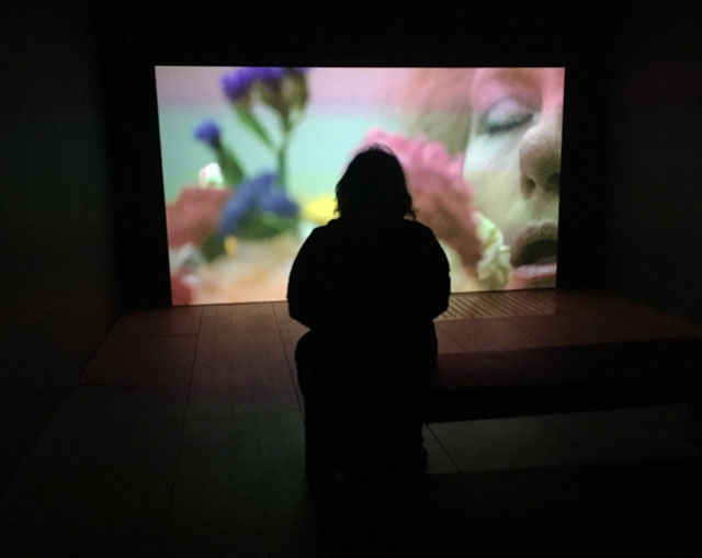 First floor screening room showing Mika Rottenberg’s NoNoseKnows, 2015. Photo: Veronica Simpson.
