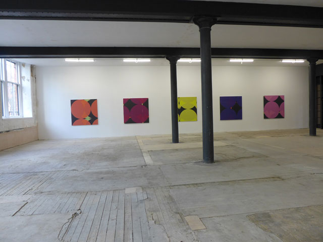 Tim Head, Black Light, installation view at The Garment Factory. Photograph: David Gibson.