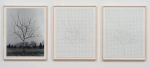 Charles Gaines. Walnut Tree Orchard, Set 1, 1975-2012. Mechanical pen on paper, photo. Triptych, 29 x 23 in each. Image courtesy of the Artist and Susanne Vielmetter Los Angeles Projects.