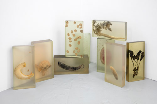 Vibha Galhotra. Consumed Contamination, 2012. Installation view.