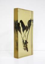 Vibha Galhotra. Consumed Contamination, 2012. Organic matter embedded in resin, 15 5/8 x 7 1/2 x 2 in.