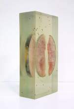 Vibha Galhotra. Consumed Contamination, 2012. Organic matter embedded in resin, 15 3/8 x 7 7/8 x 4 7/8 in.
