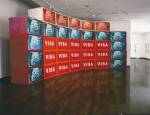 Wang Guangyi. Visa, 1994. Artificial fur, pictures, wooden boxes, screen printing, 33 pieces, 120 x 80 x 60 cm each. Exhibited at Visual Polity: Another Wang Guangyi, OCT Contemporary Art Terminal, He Xiangning Art Museum, Shenzhen, China, 2008; 22nd São Paulo Biennial, São Paulo, Brazil, 1994. © 2013 Wang Guangyi