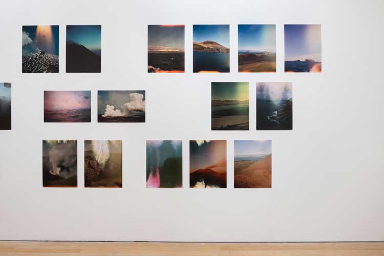 Ilana Halperin, Field Encounters, 1999–present. Courtesy the artist and Patricia Fleming Gallery. Photo: Ruth Clark.