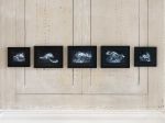 Maggi Hambling, Time, installation view, Wolterton Hall, 2025. Photo: Eva Herzog, courtesy the artists and Wolterton.