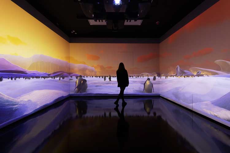 Dominic Harris, Feeding Consciousness, installation view, Halcyon Gallery, London, 25 May – 13 August 2023. Photo: © Dominic Harris. Courtesy of Halcyon Gallery.