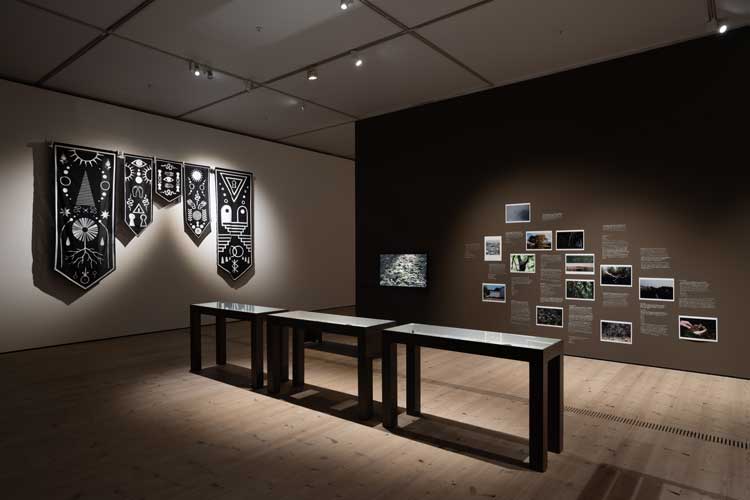 Installation view, Hinterlands, Baltic Centre for Contemporary Art, Gateshead, 2022. Photo: Rob Harris. © 2022 Baltic Centre for Contemporary Art.