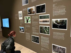 Michele Allen, The Weight of Ants in the World, 2018-ongoing (detail). Installation view, Hinterlands, Baltic Centre for Contemporary Art, Gateshead, 2022. Photo: Veronica Simpson.