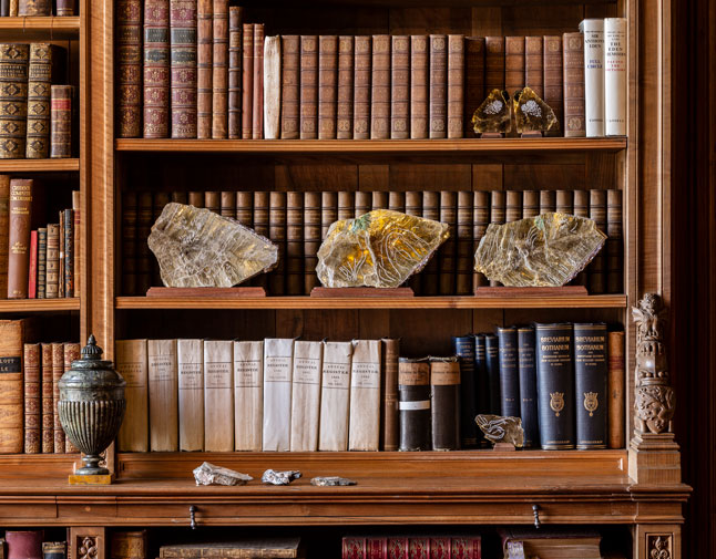 Ilana Halperin. The Library (detail), 2020. Courtesy the artist and Patricia Fleming Gallery, Glasgow. Photo: Keith Hunter.