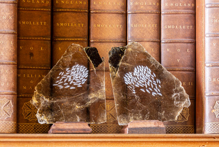 Ilana Halperin. The Library (detail), 2020. Courtesy the artist and Patricia Fleming Gallery, Glasgow. Photo: Keith Hunter.