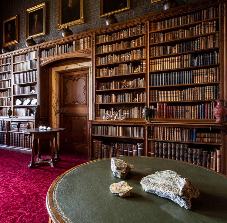 Ilana Halperin. The Library, 2020. Courtesy the artist and Patricia Fleming Gallery, Glasgow. Photo: Keith Hunter.