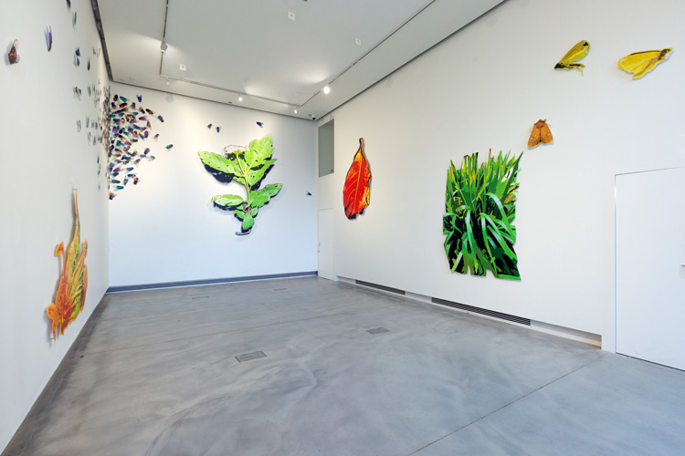 Alexandra Haeseker: The Botanist’s Daughter. Installation view, Edinburgh Printmakers, 2020. Photo: Alix MacIntosh.