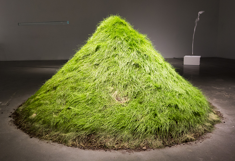 Hans Haacke, Grass Grows, 1967-69. Earth and grass. Photo: Antonio Rivera.