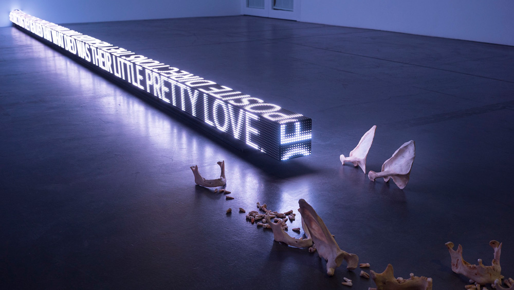 How Does Jenny Holzer Get the Rights for All the Texts She Uses in Her Artwork? + Other Artists'-Rights Questions, Answered