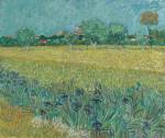 Vincent Van Gogh. Field with Irises near Arles, 1888. Oil on canvas, 54 x 65 cm. Van Gogh Museum, Amsterdam (Vincent van Gogh Foundation).