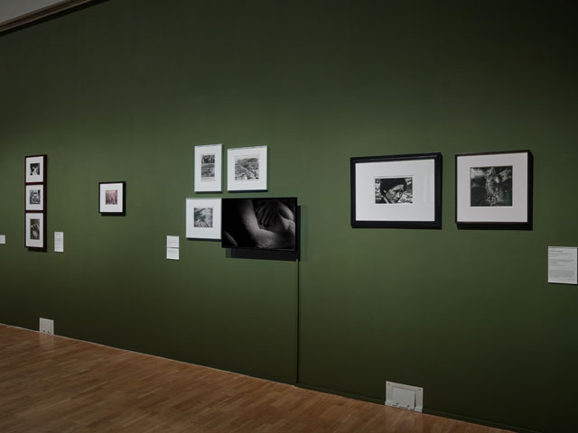 A Handful of Dust, installation view, 2017. Photograph courtesy of Stephen White.