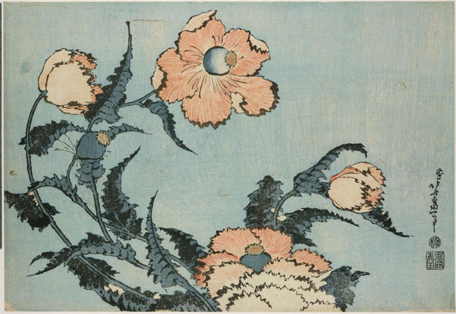 Poppies from Large Flowers. Colour woodblock, 1831-1832. © The Trustees of the British Museum.