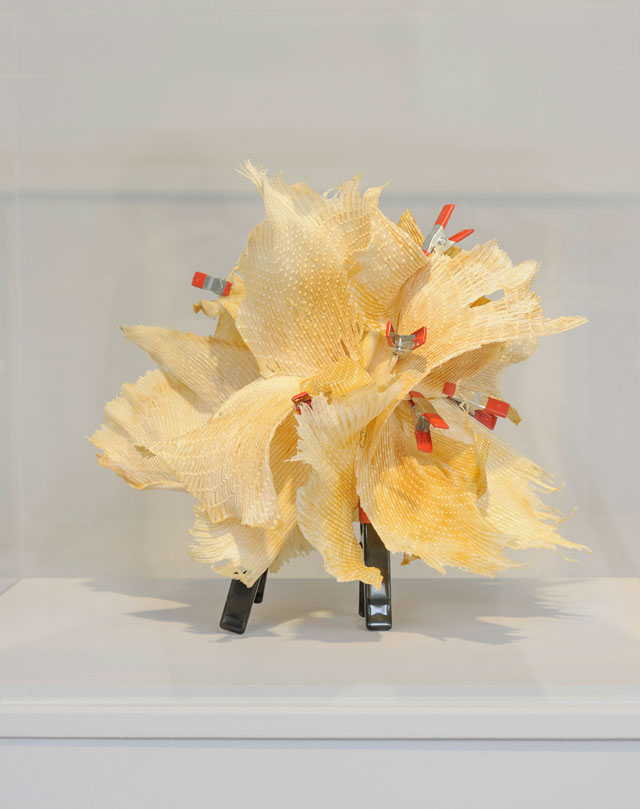 Elpida Hadzi-Vasileva. Skate Wings, 2011. Photograph: Nick Dunmur, courtesy Elpida Hadzi-Vasileva and Djanogly Gallery.