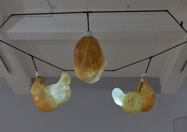 Elpida Hadzi-Vasileva. Inquisition of Beauty, 2016. Pig stomachs, LED lights, fibre-glass tube.