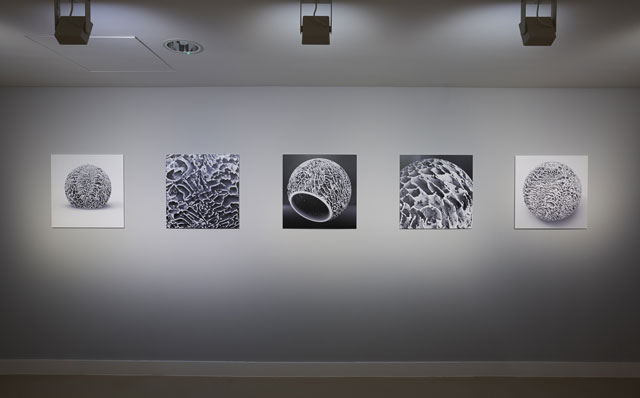 Installation view, Elpida Hadzi-Vasileva, Making Beauty, Djanogly Gallery, Photograph: Nick Dunmur.