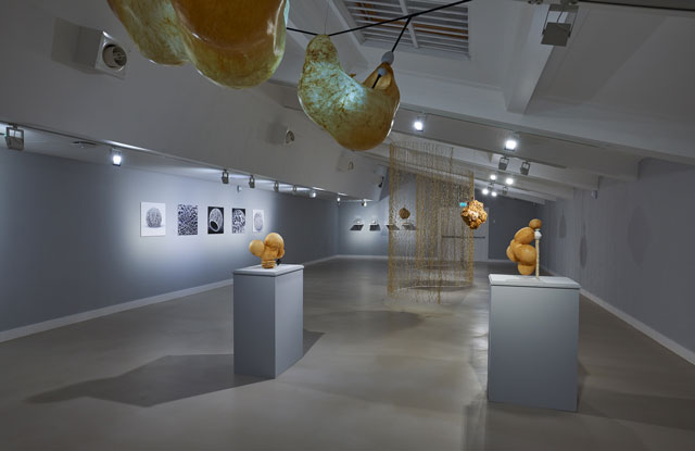 Installation view, Elpida Hadzi-Vasileva, Making Beauty, Djanogly Gallery, Photograph: Nick Dunmur.