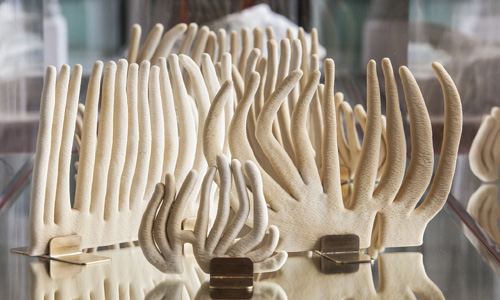 The Mineral Body. Wood encrusted in limestone. Part of the solo exhibition The Library at National Museum of Scotland, 2013. Photograph: Neil McLean, National Museums Scotland. Courtesy of Patricia Fleming Projects.