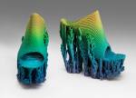 Francis Bitonti Studio Inc. Molecule Shoe, 2015. 3D print, © Francis Bitonti. Photograph: 2017 Museum of Fine Arts, Boston.