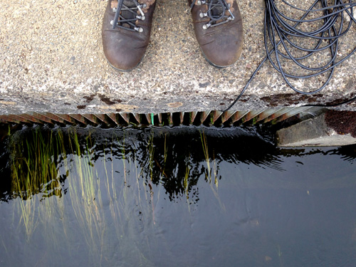 Taking underwater recordings around Glasgow for Submerge, a Cryptic Commission for Sonica 2015 shown at the Lighthouse, Glasgow. Photograph: Kathy Hinde.