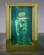 Damien Hirst. <em>The Golden Calf</em> (end), 2008. Calf, 18 carat gold, glass, gold-plated steel, silicone and formaldehyde solution with Carrara marble plinth, 84.8 x 126 x 54 in. / 215.4 x 320 x 137.2 cm. © Damien Hirst