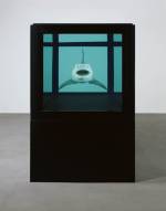 Damien Hirst.<em> The Kingdom</em> (front), 2008.  Tiger shark, glass, steel, silicone and formaldehyde solution with steel plinth, 51.4 x 151 x 55.8 in. / 130.6 x 383.6 x 141.8 cm. © Damien Hirst