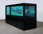 Damien Hirst.<em> The Kingdom</em>, 2008.  Tiger shark, glass, steel, silicone and formaldehyde solution with steel plinth, 51.4 x 151 x 55.8 in. / 130.6 x 383.6 x 141.8 cm. © Damien Hirst