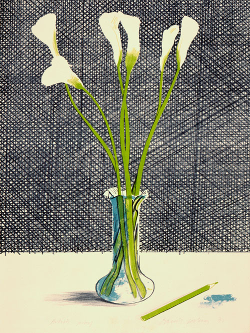 David Hockney. Lillies, 1971. Lithograph, 29 1/2 x 21 in, Edition: 65 & ed: 35. © David Hockney.