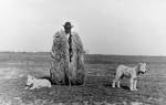 Rudolf Balogh. <em>Shepherd with his Dogs, Hortobagy</em>, c1930. Silver gelatin print, 180 x 290 mm. Hungarian Museum of Photography. Copyright Hungarian Museum of Photography.