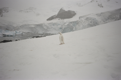 Pierre Huyghe, <em>A Journey That Wasn't</em>, 2005. Courtesy of Marian Goodman Gallery, New York/Paris and the Public Art Fund. Photo: Xavier Veilhan.